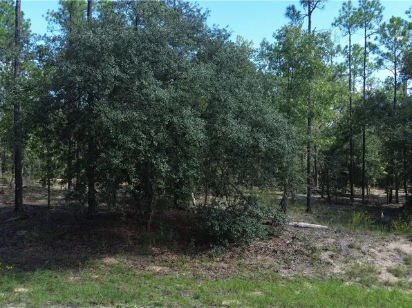 617 E Marquette Ln, Citrus Springs, FL 34434