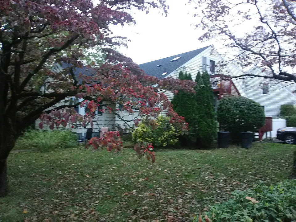 Property Side View