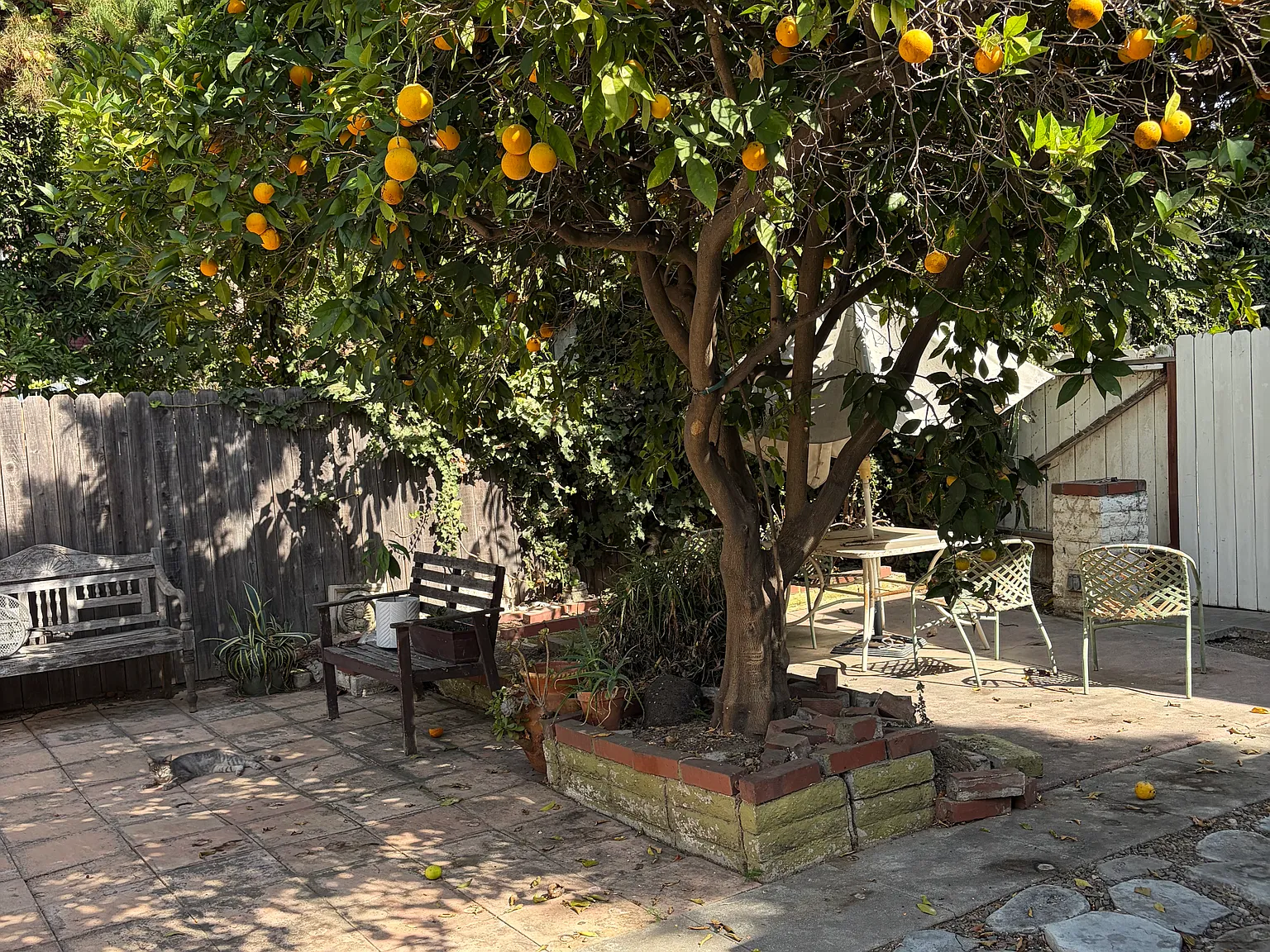 1 bed, 450 sqft, $1,550 — Photo 3