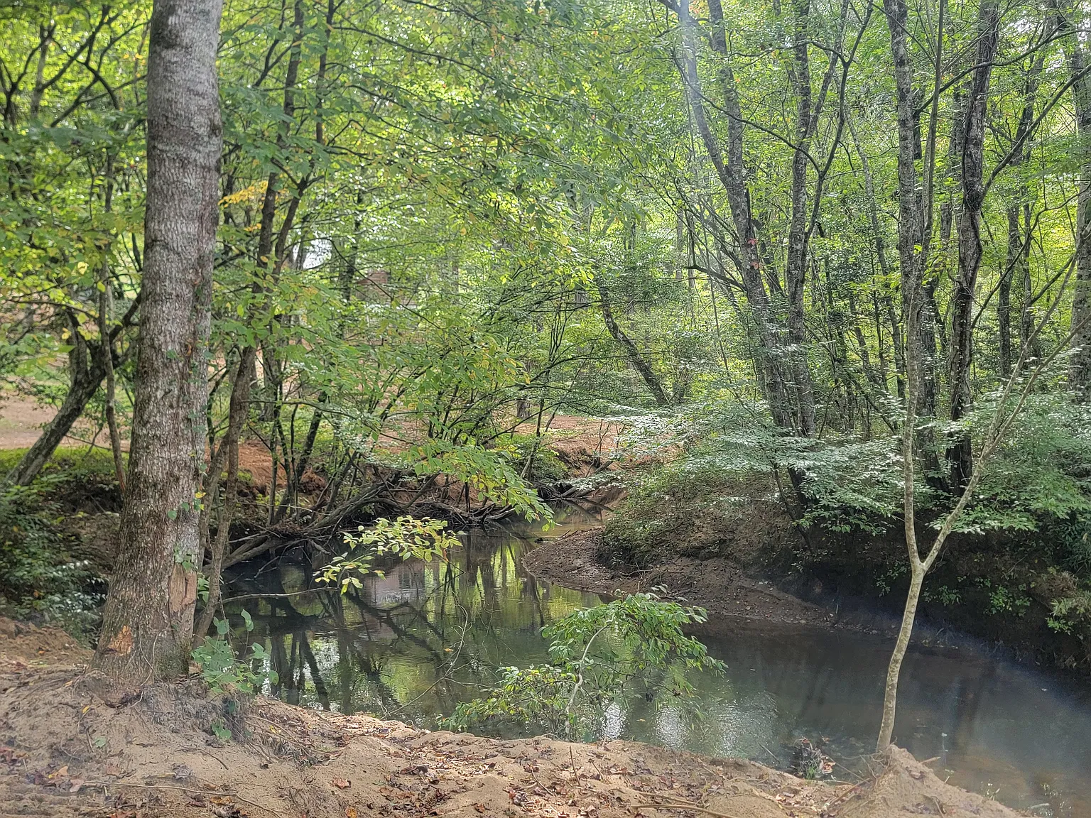 329 Turtlerun Rd — Photo 3