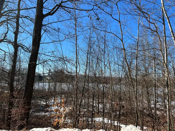 1A Terry Dr, Lakeview, MI 48850