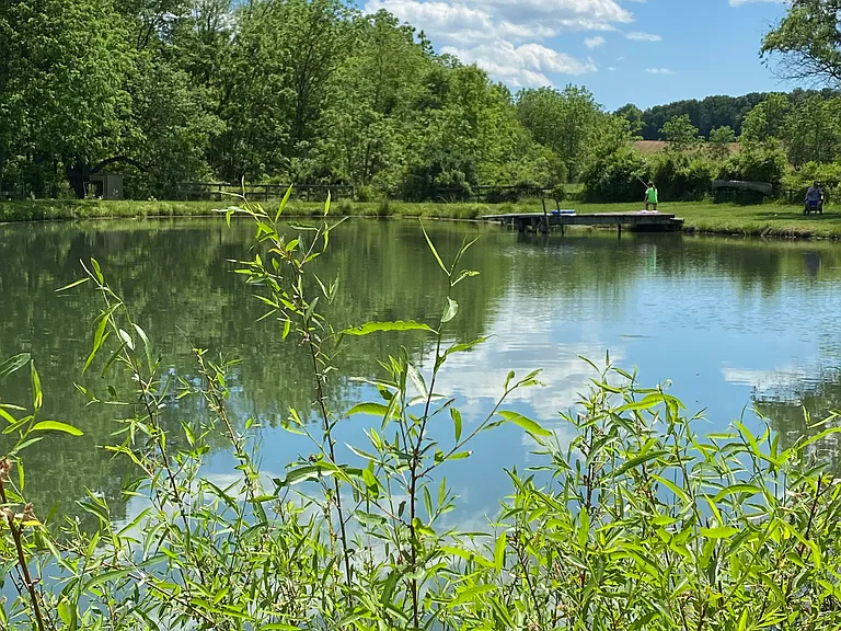 Common area pond