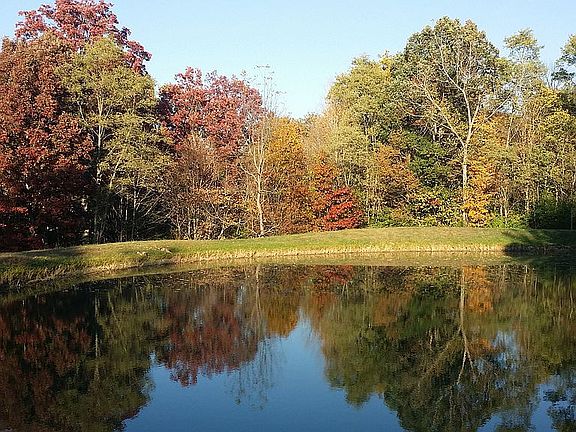 Stocked pond