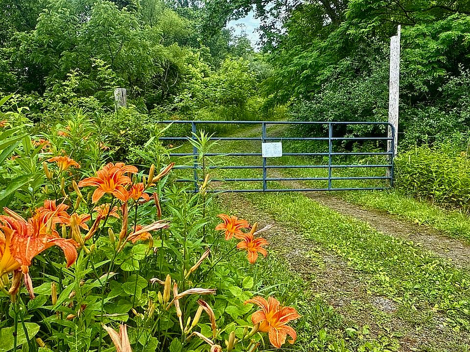 16th image of 131 Gibson Hollow Rd