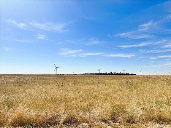 4th image of 562.57 Acres - Lincoln County