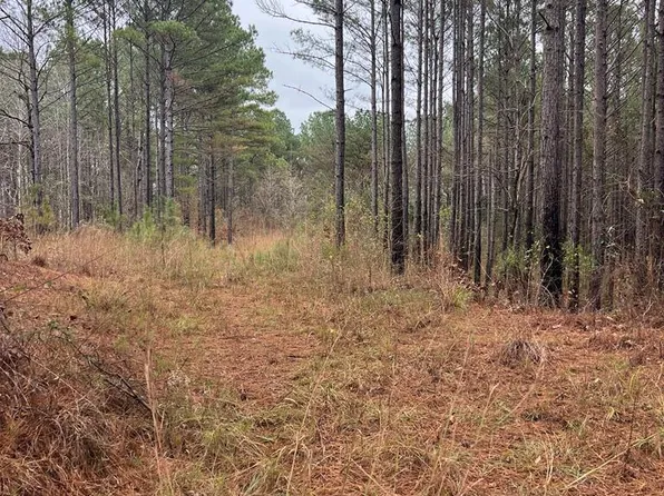 0 County Road 151 #A, Randolph, MS 38864