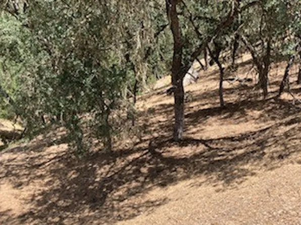 2668 Pine Ridge Rd, Bradley, CA 93426