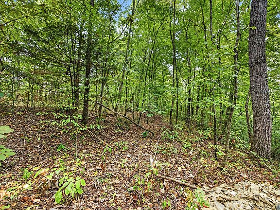 5th image of 0 Timber Ridge Ln Lot 23