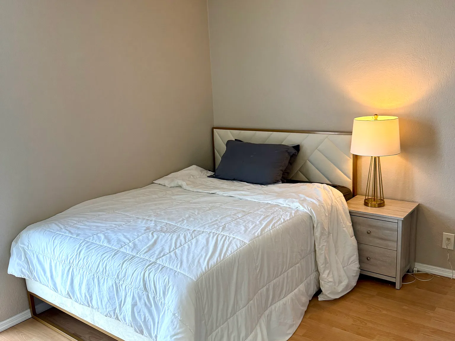 2 bed, 1300 sqft, $3,000 — Photo 3