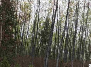 LOT 2 River View Dr, Grand Rapids, MN 55744