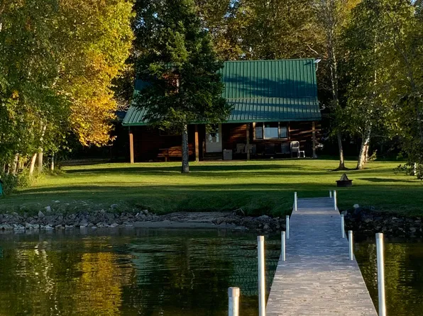 W17316 Zellar Rd, Curtis, MI 49820