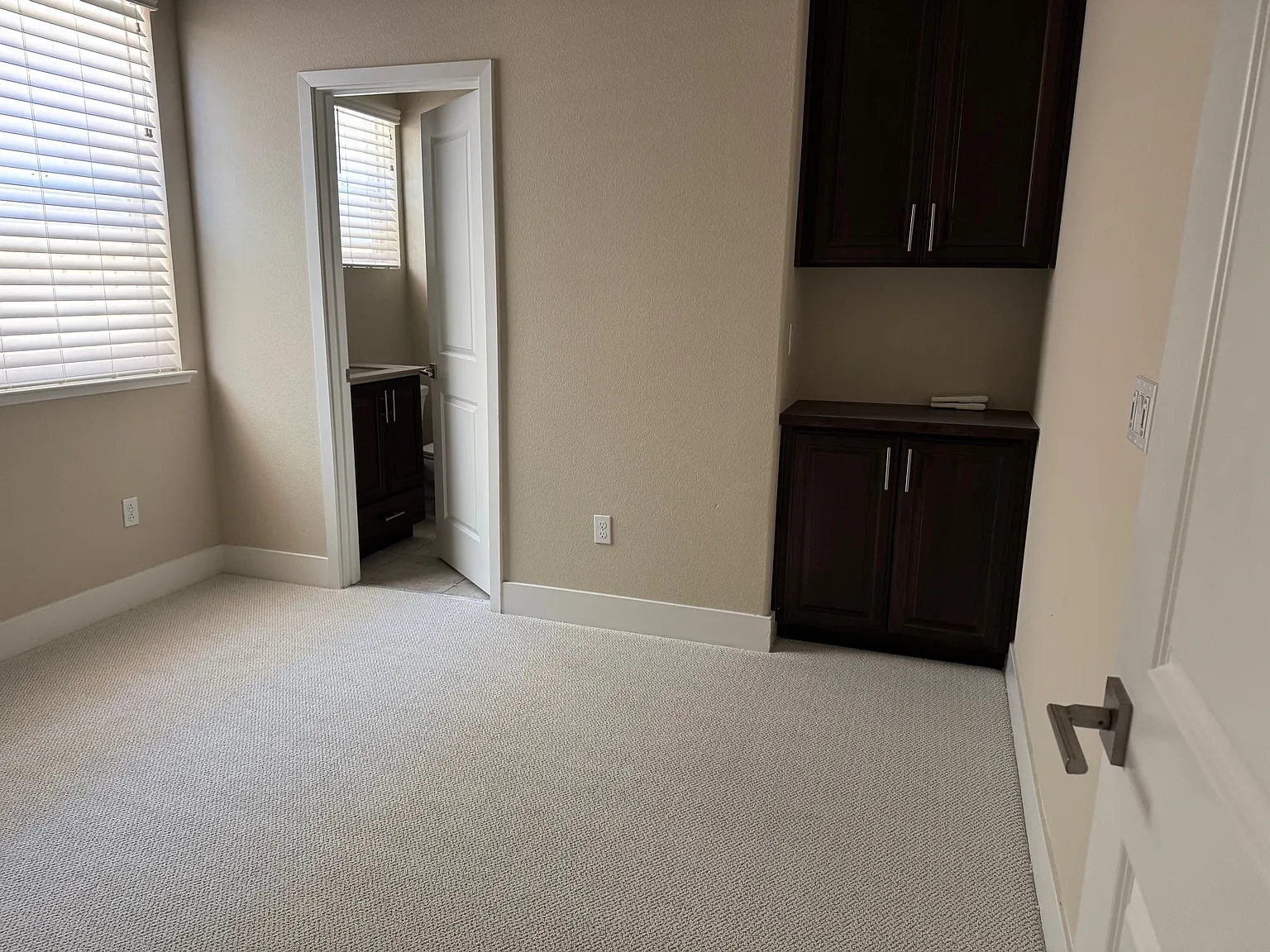 S Crawford Dr, Mountain House — Photo 4