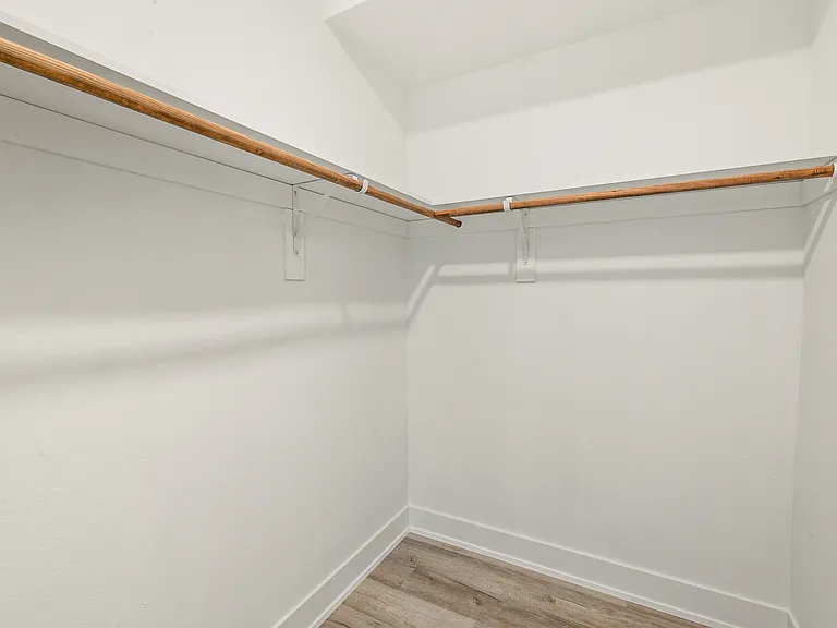 Primary Walk-In Closet