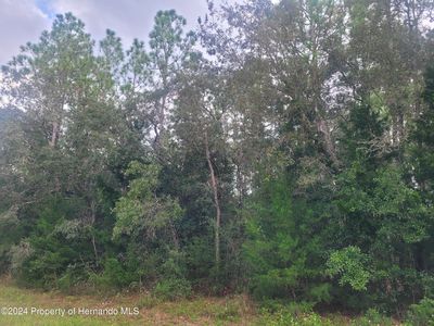 13166 Charlton Dr, Weeki Wachee, FL, 34614