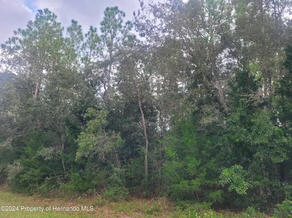 13166 Charlton Dr, Weeki Wachee, FL 34614