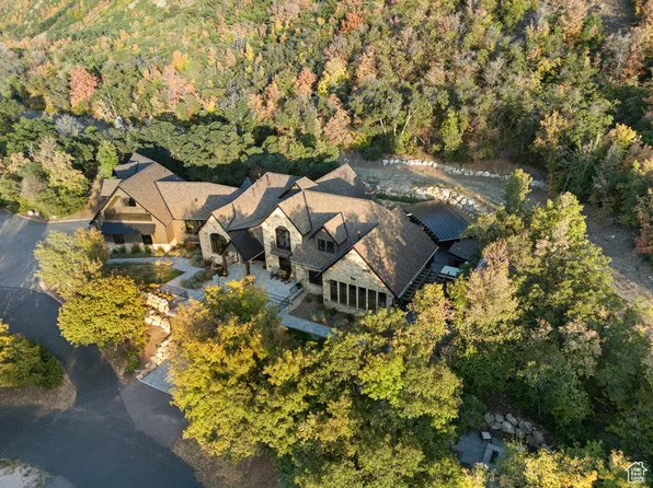 1141 S Oak Leaf Ln, Springville, UT 84663