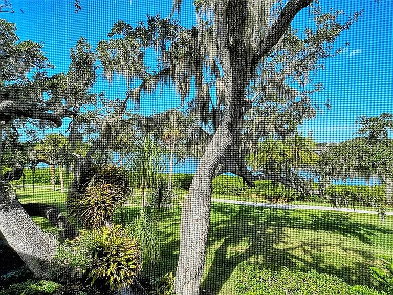 1601 Bayhouse Point Dr #BA206 — Photo 25
