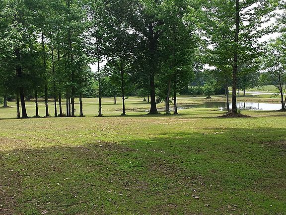 View from kitchen to pond