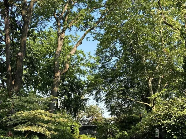 419 East 87th Street image 10 of 10