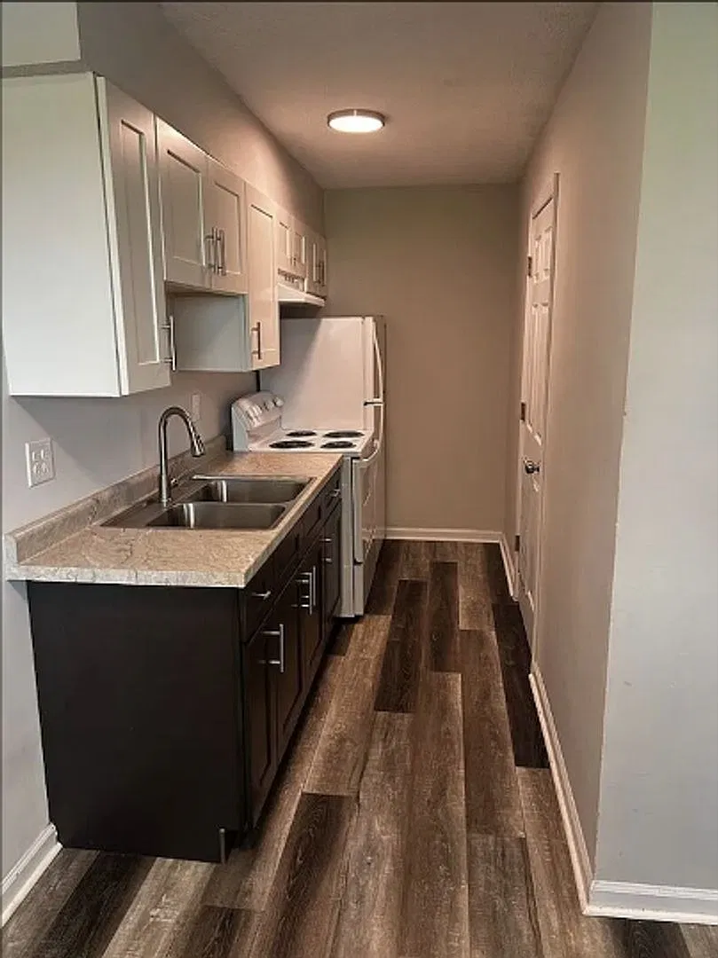 Elmwood388 (TF) — Photo 4
