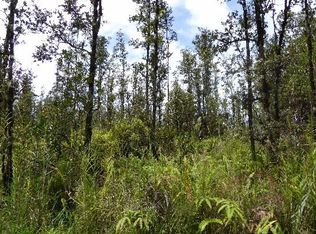 16-1606 Hopue Rd LOT 3060, Mountain View, HI 96771