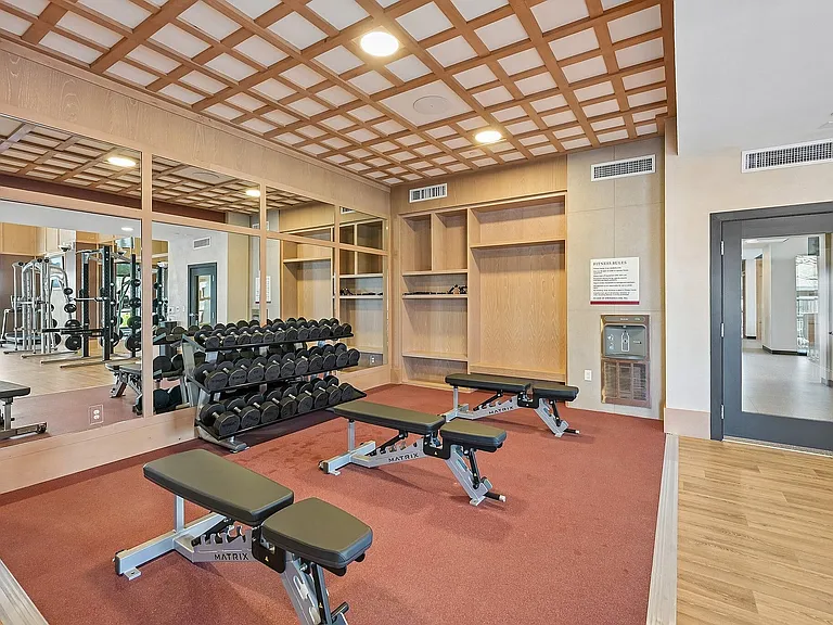 Gym-Free Weights