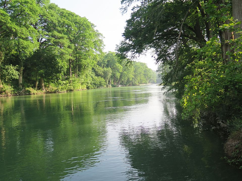 1st image of 1321 Gruene Leaf Dr