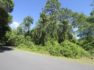 3655 Shinnecock Ln, Green Cove Springs, FL 32043