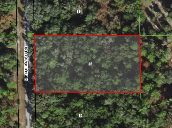 8443 N Bitteroot Dr, Crystal River, FL 34428