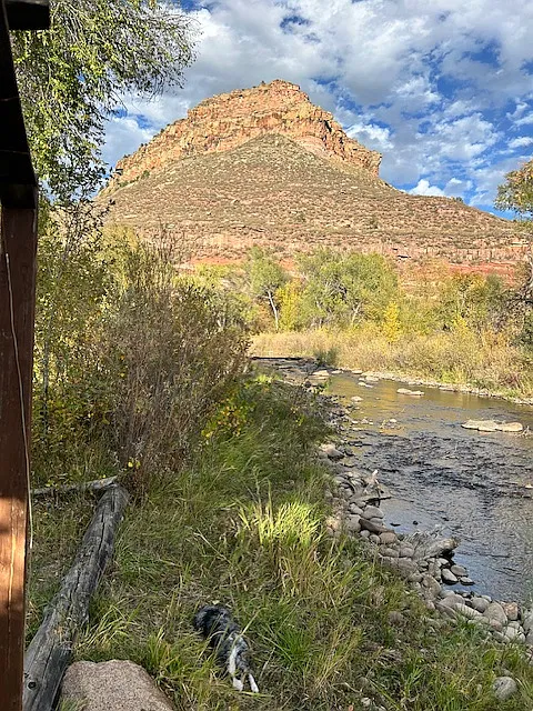 2 bed, 1400 sqft, $3,000 — Photo 4