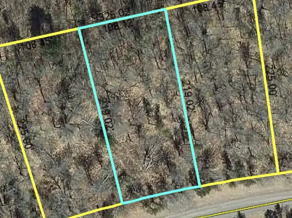LOT 157 Deerpath Rd, Danbury, WI 54830
