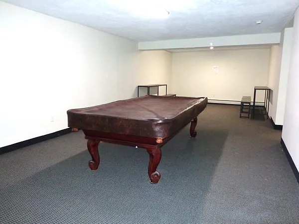 Recreational room-Pool table and ping pong table available