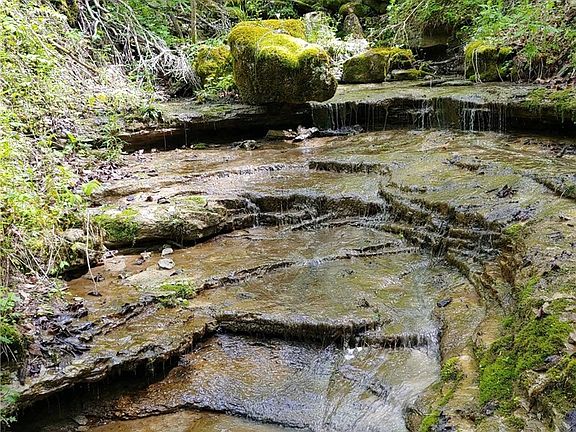 5th image of 0 Pipe Creek Rd