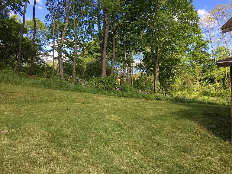Large yard and open space behind house