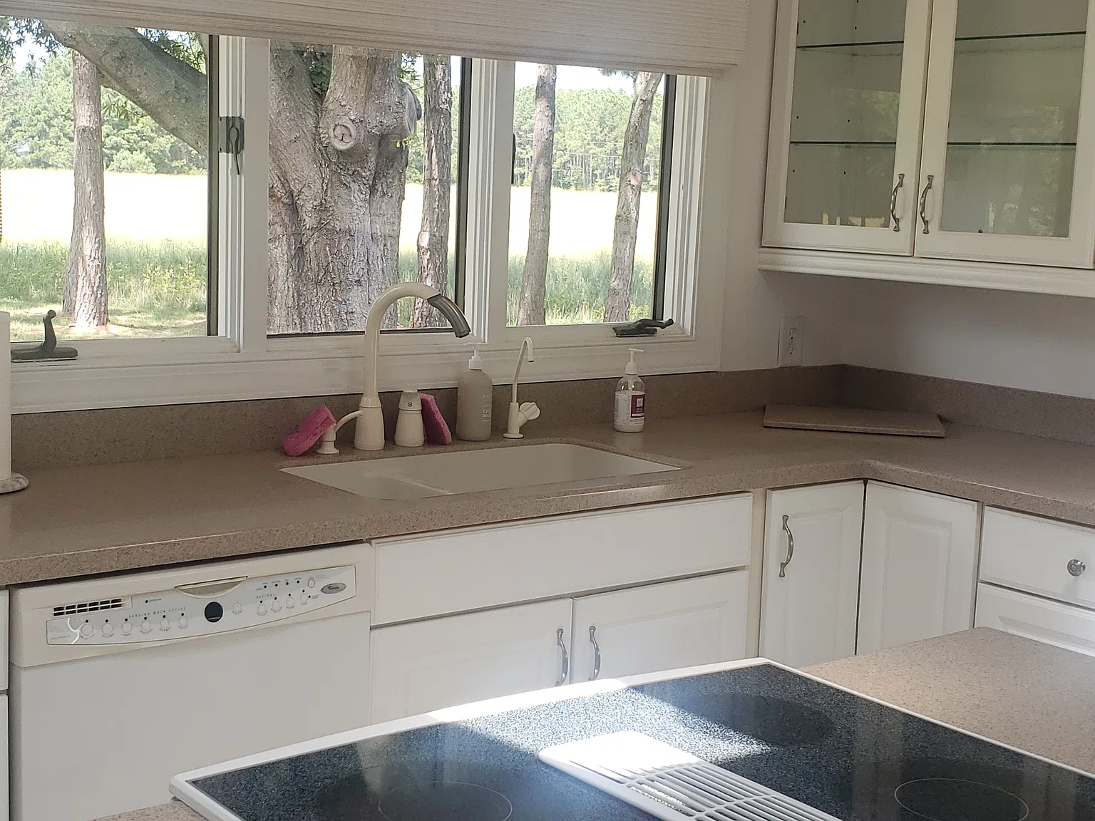2 bed, 1885 sqft, $2,600 — Photo 4