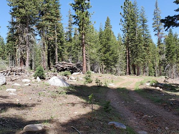 4th image of 18 Silvertip Dr #35-2