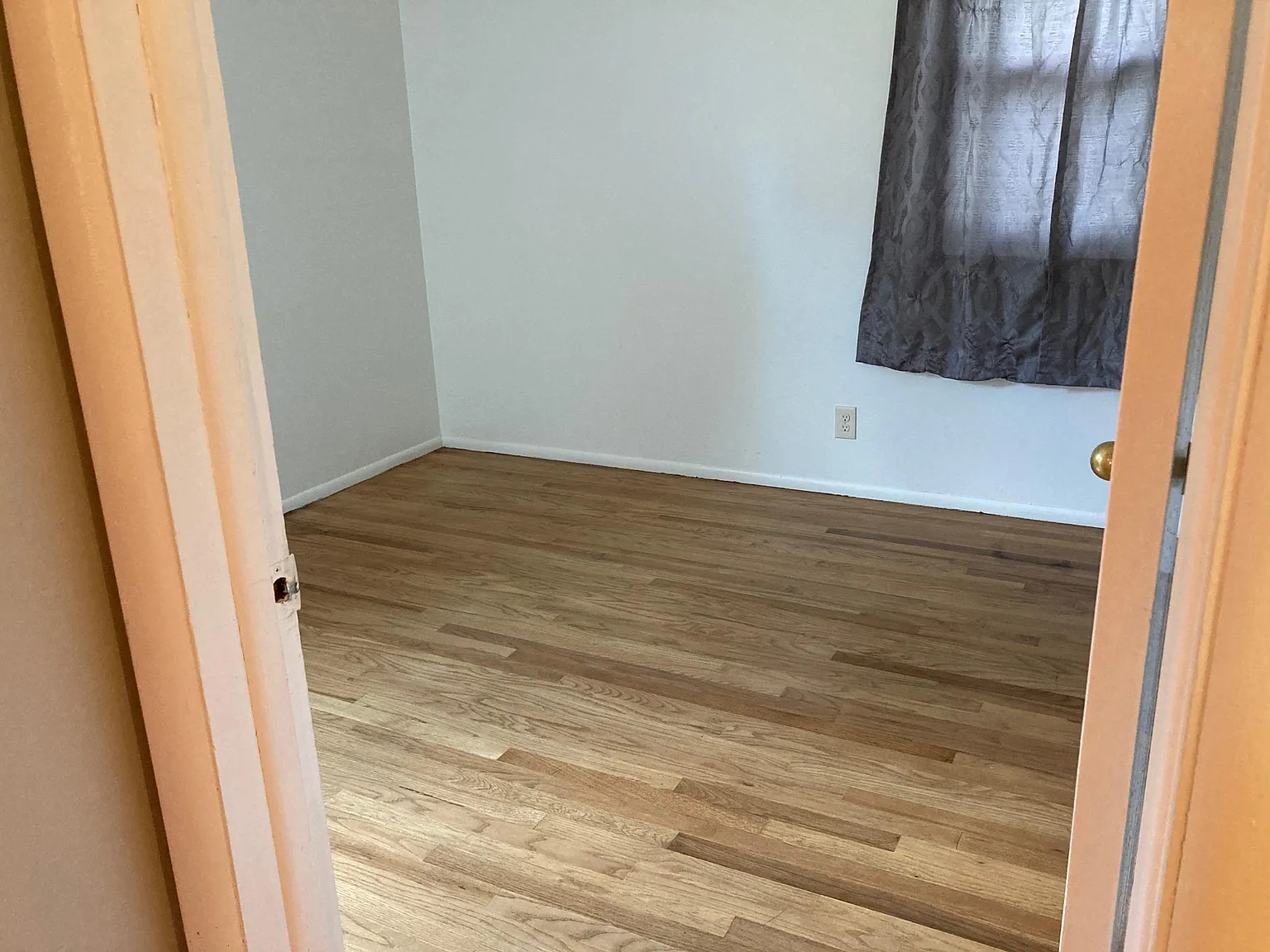 1426 Maxwell Ave — Photo 4