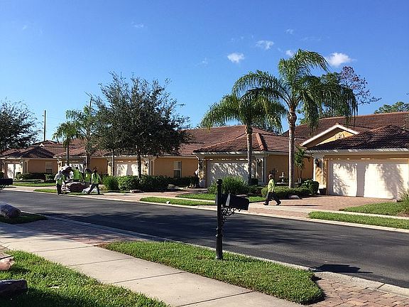 Beautiful Neighborhood 
