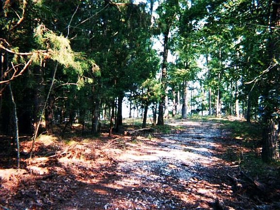 4th image of 2221a Horton Cove Road #Lot #4