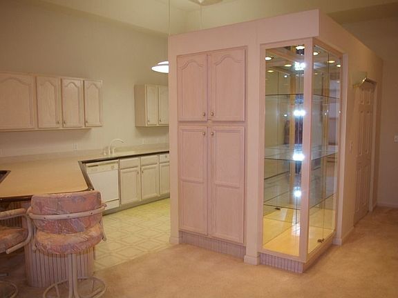 Curio Cabinet/Kitchen