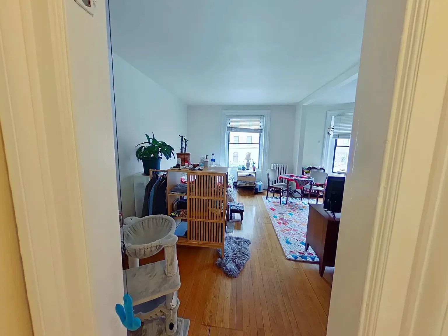 Studio, 9999 sqft, $2,450 — Photo 3