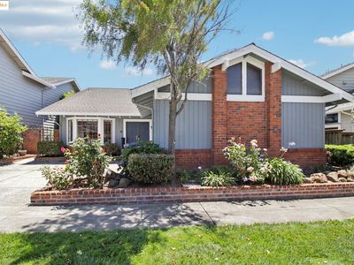 8 Wellfleet Bay, Alameda, CA, 94502
