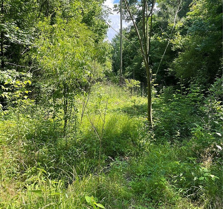 2nd image of 0 Rock Castle Ln