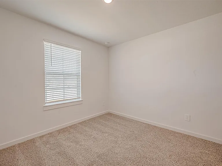 1018 Fringed Bluestar Dr — Photo 21