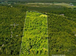 V/l Farrier Rd, Hillman, MI 49746