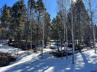 92 Nevada Ln, Florissant, CO 80816