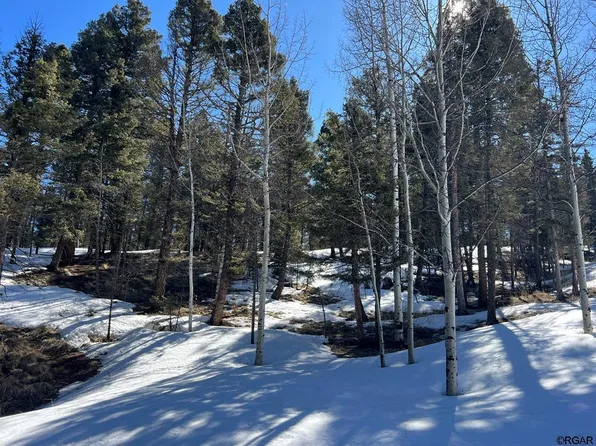 92 Nevada Ln, Florissant, CO 80816