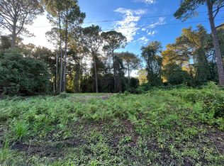 121 Dolphin Dr, Georgetown, FL 32139