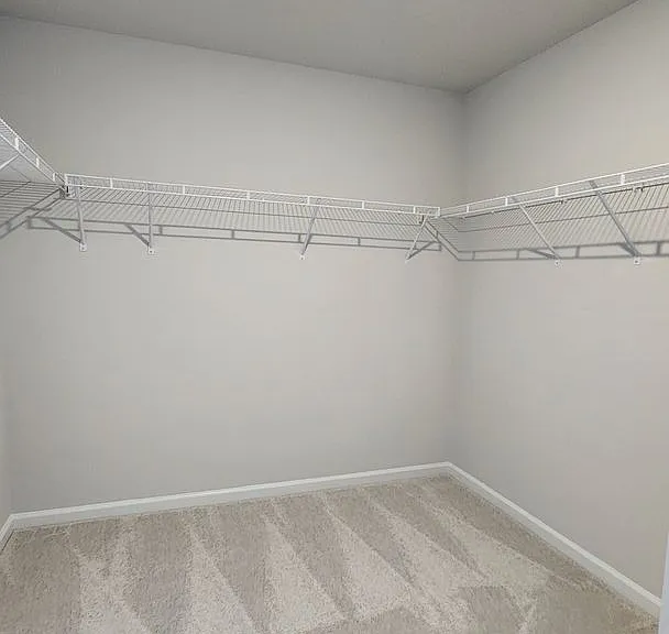 2340 Chert Ln — Photo 19