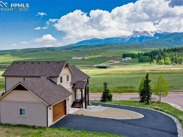407 Meadow Park Dr, Divide, CO 80814